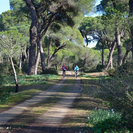 Sanlucarsun Apartamento Frente Al Mar Sanlucar de Barrameda Bagian luar foto