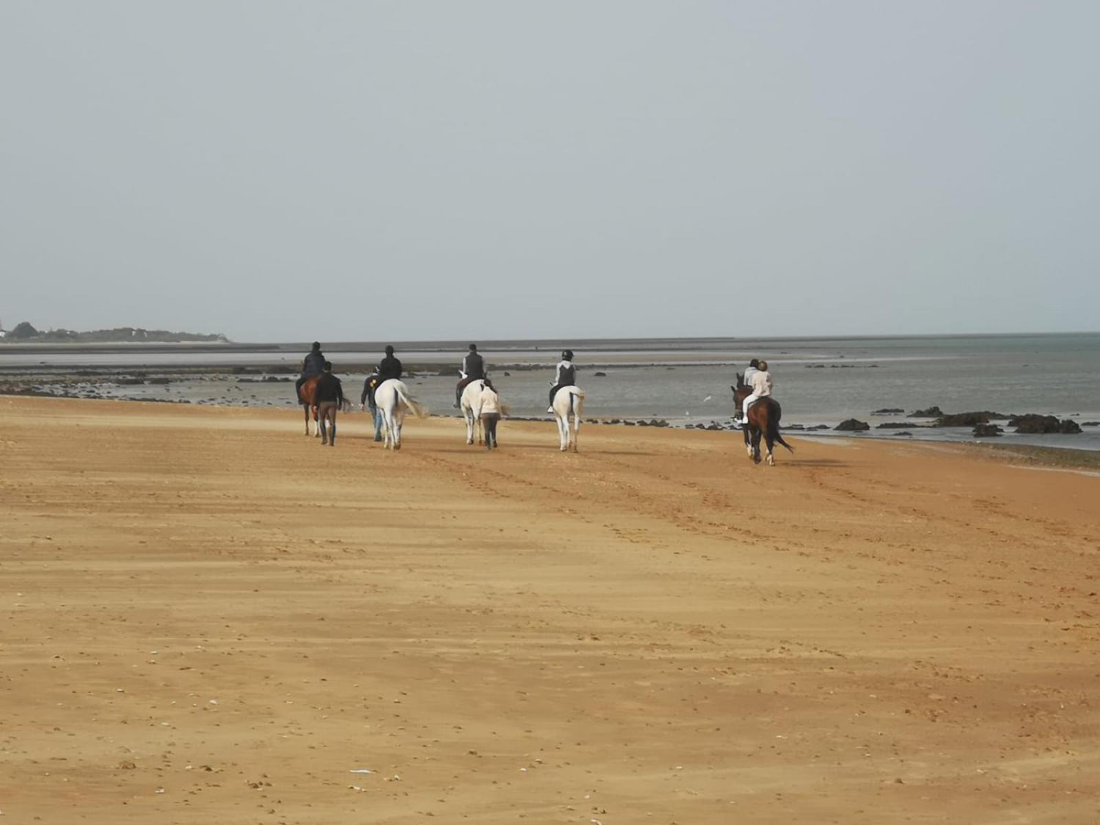 Sanlucarsun Apartamento Frente Al Mar Sanlucar de Barrameda Bagian luar foto