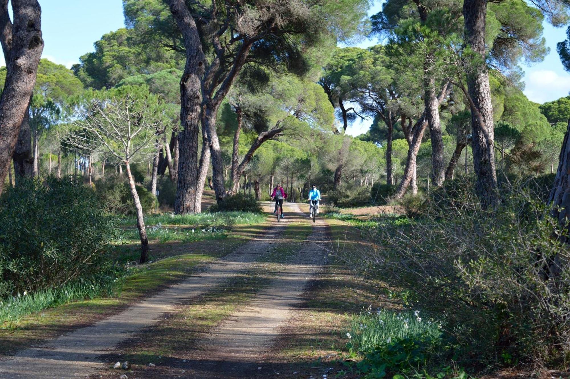 Sanlucarsun Apartamento Frente Al Mar Sanlucar de Barrameda Bagian luar foto